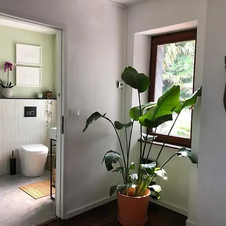 Ciao Lago: Front Row View * Oggebbio