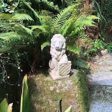 Ciao Lago: Front Row View Апартаменты