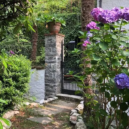 Ciao Lago: Front Row View Оджеббио